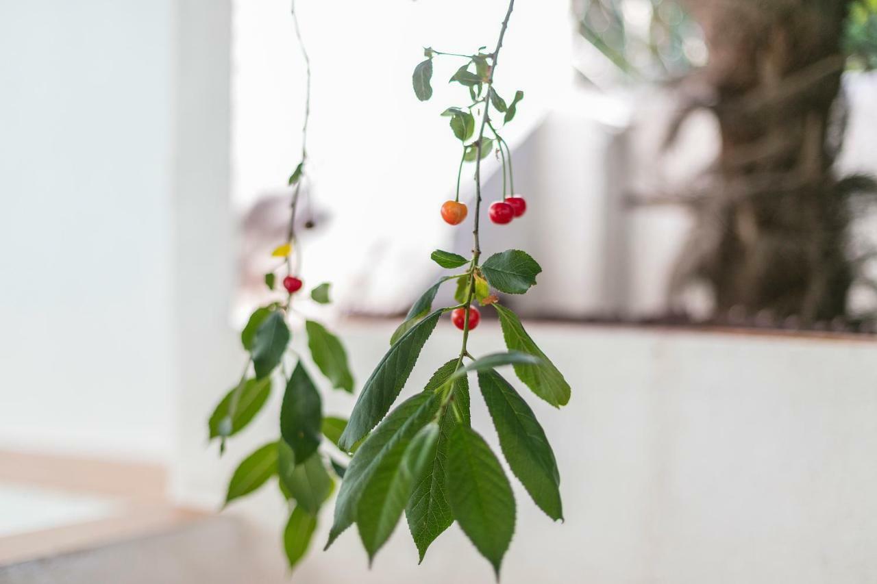 Fragrant Garden Apartment Lissabon Buitenkant foto